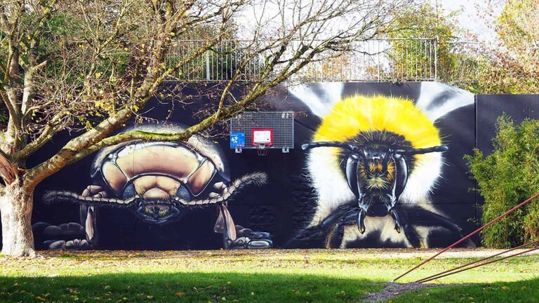 Graffiti Kunstwerke des Ulmer Künstlers Milo 