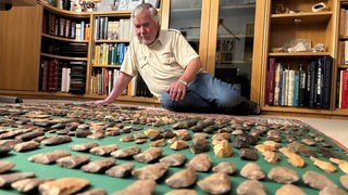 Siegbert Eickelkamp besitzt fast 40.000 afrikanische Artefakte aus der Steinzeit.