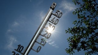 Ein Thermometer zeigt 36 Grad Celsius an