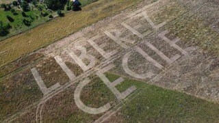 Auf einem Feld steht in großen Buchstaben die Aufschrift "Liberez Cécile Kohler"