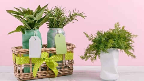 Upcycling-Idee: Vase aus alten Dosen