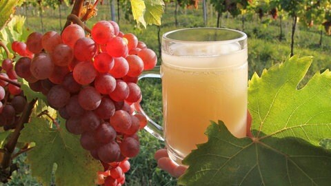 Glas Federweißer und Trauben