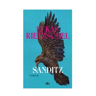 Cover des Buches Lukas Rietzschel: Sanditz