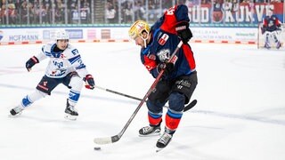 Nürnberg Ice Tigers gegen Adler Mannheim