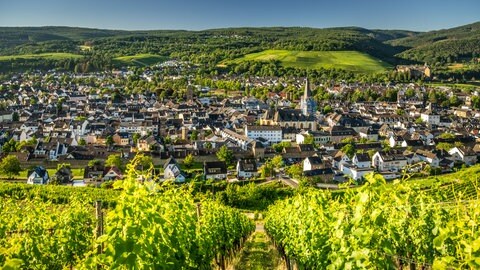 Wandern im Ahrtal: Blick von den Weinbergen auf die Altstadt von Ahrweiler
