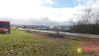 An der B428 bei Bad Kreuznach sind 50 Bäume gefällt worden. Die Bundesstraße soll vierspurig ausgebaut werden