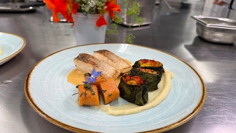 Hechtfilet schön angerichtet auf Teller