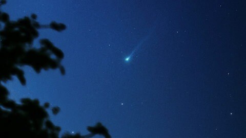 Komet Nishimura mit bläulichem Schweif am Morgenhimmel