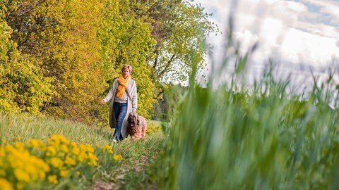 Eine Frau geht mit ihrem Hund spazieren auf einer Wiese am Waldrand spazieren: In fast jedem zweiten Haushalt in Deutschland wohnt eine Person allein. Manche sind bewusst Single, für andere ist es ein Zustand auf Zeit. Vor allem Singlefrauen verspüren den Druck, sich zu binden. 