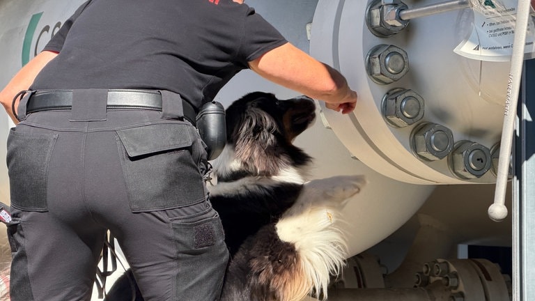Ein Hund schnüffelt bei der Suche nach Sprengstoff an einem Tank.