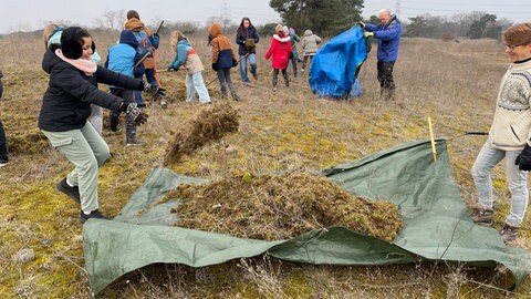 Eine Schülerin wirft das Moos, das sie aus dem Boden entfernt hat, auf eine Plastikplane. Hier wird das ganze Moos vorerst gesammelt.