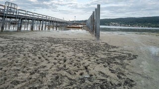 Ein Steg reicht weit aus dem Wasser, Boote liegen kaum noch im Wasser. Niedriger Wasserstand am Bodensee im Hafen Horn auf der Hoeri bei Gaienhofen am 21.07.2026.