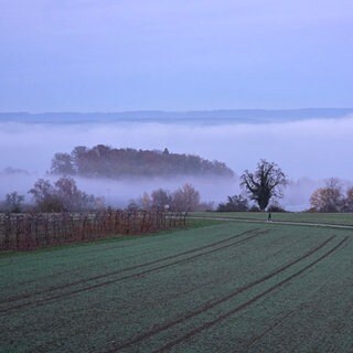 Blick von Litzelstetten auf den Überlinger See im Nebel. So viel Nebel wie in diesem Dezember gab es selten am Bodensee und in Oberschwaben, so die Wetterwarte Süd.