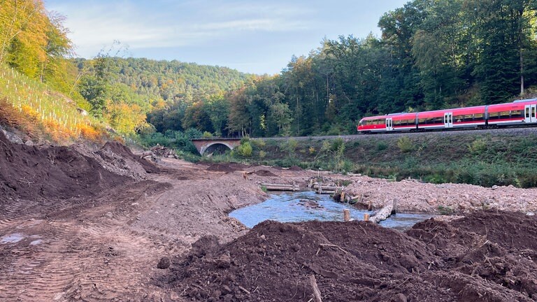 Die Nadelhölzer im Moosalbtal sind früher manchmal auf den Bahndamm gefallen, erinnert sich Revierförster Christoph Wagner.