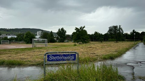 Auf einer Wiese in Lörrach-Stetten hätte eine Gemeinschaftsunterkunft gebaut werden sollen. 