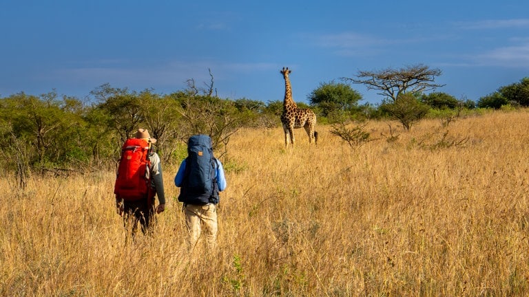 Südafrika - Achill und Aaron Moser, Abenteurer, laufen auf eine Giraffe zu.