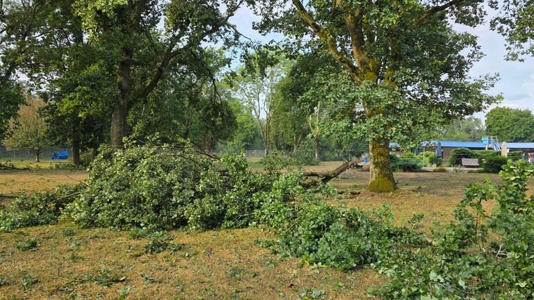 Äste auf einer Wiese neben dem Becken. Es war viel zu tun.