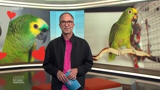 Moderator Jürgen Hörig