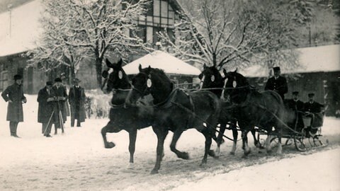 Ein historisches Bild von mehreren Männern, die in einem Schlitten sitzen, der von vier Pferden gezogen wird. Damals hieß die Marbacher Hengstparade noch "Vorführung der Hengste".  