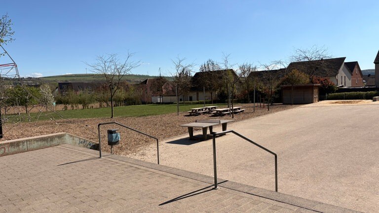 Der Schulhof der Grundschule Trier-Tarforst mit kleinen kahlen Bäumen