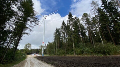 In einem Wald (hier im Kreis Tuttlingen) steht ein Windrad.