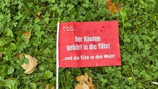 Ein rotes Fähnchen mit der Aufschrift "Der Haufen gehört in die Tüte) steckt auf einer grünen Wiese