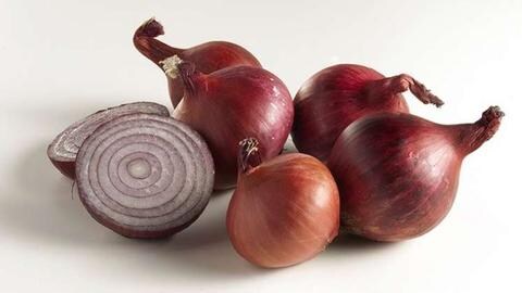 Rote Zwiebeln