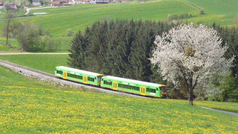 Frühlingsidylle im Bayerischen Wald