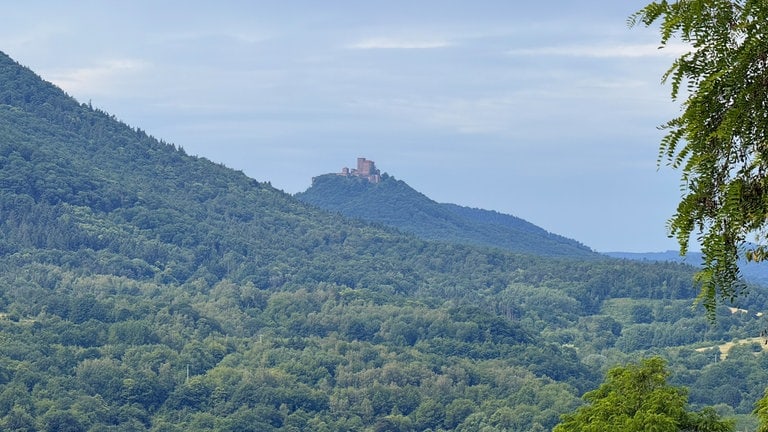 Ausblick auf die Burg