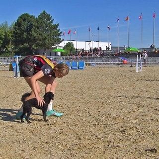 Sarah Tylla auf dem Parcours mit ihrem Hund bei der Agility WM 2026