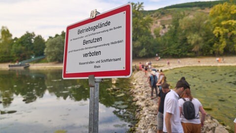 Die Insel im Rhein, auf der auch der Binger Mäuseturm steht, war im August 2022 aufgrund des Niedrigwassers zu Fuß erreichbar.