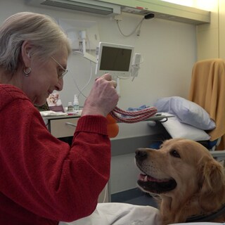 Hund Hannes sitzt in einem Krankenhauszimmer. Eine ältere Patientin, mit rotem Pullover, sitzt vor ihm auf dem Krankenbett und hält ein Hundespielzeug in der Hand. 