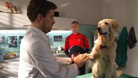 Karl ist mit Willy beim Tierarzt