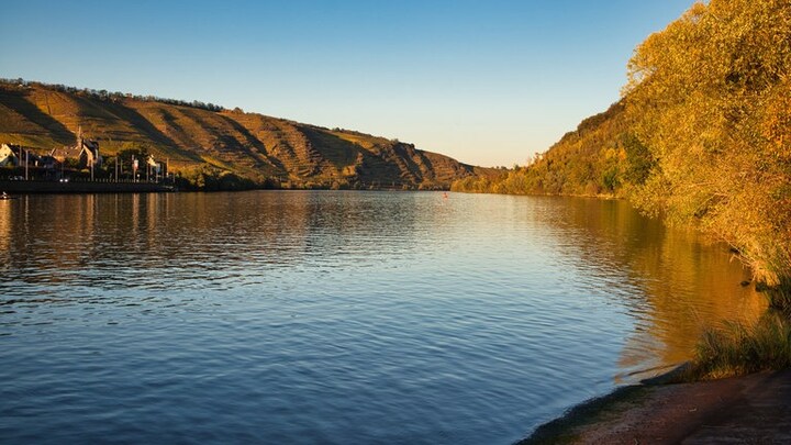 Der Herbst an der Mosel
