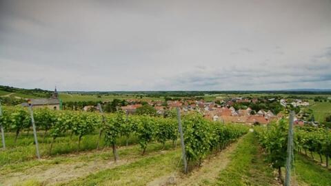Blick über die Ludwigshöhe