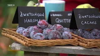 Obstsorten zum Einmachen