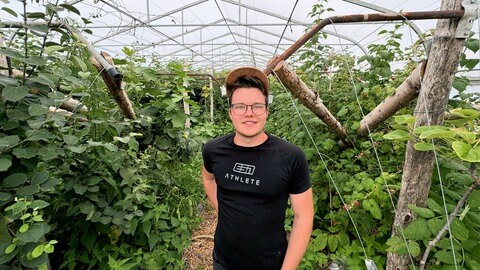 Jungbauer Felix Miller baut exotische Früchte wie Kiwi und Physalis an.
