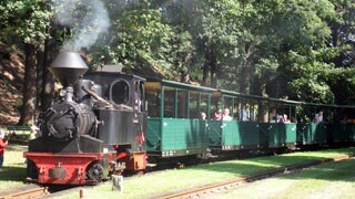Waldeisenbahn Muskau