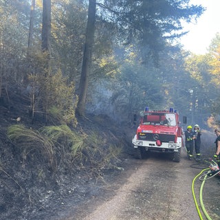 Wegen möglicher Weltkriegsmunition im Boden bleiben die Feuerwehrleute beim Löschen auf den Wegen.