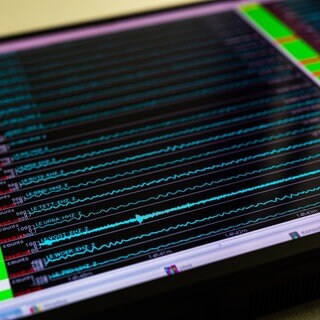 Ein Monitor zeigt die Ausschläge im Erdbeben-Messnetz des Landeserdbebendienstes an.