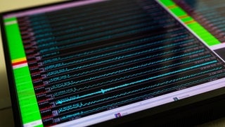 Ein Monitor zeigt die Ausschläge im Erdbeben-Messnetz des Landeserdbebendienstes an.