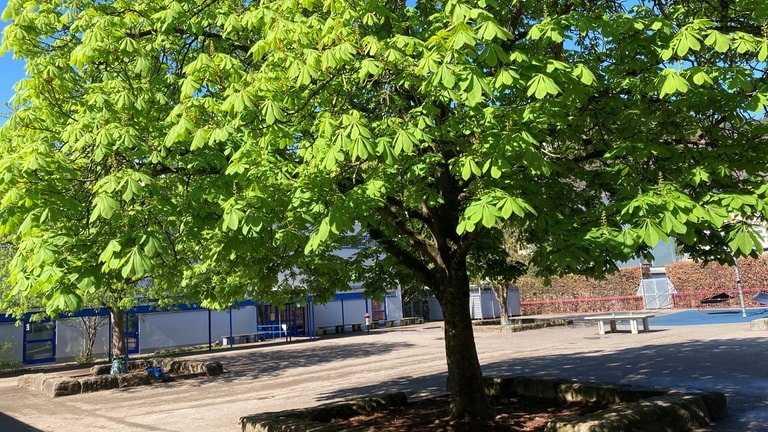 Schulhof der Grundschule Trier-Zewen