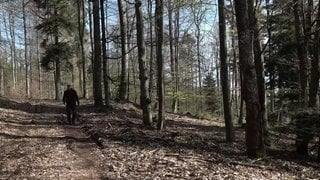 Förster beim Rundgang durch den Wald