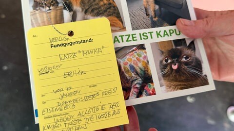 Ein Katzenbuch mit einer persönlichen Verlust-Anzeige ist Teil der Ausstellung und Aktion "Lost & Found" in Ludwigshafen