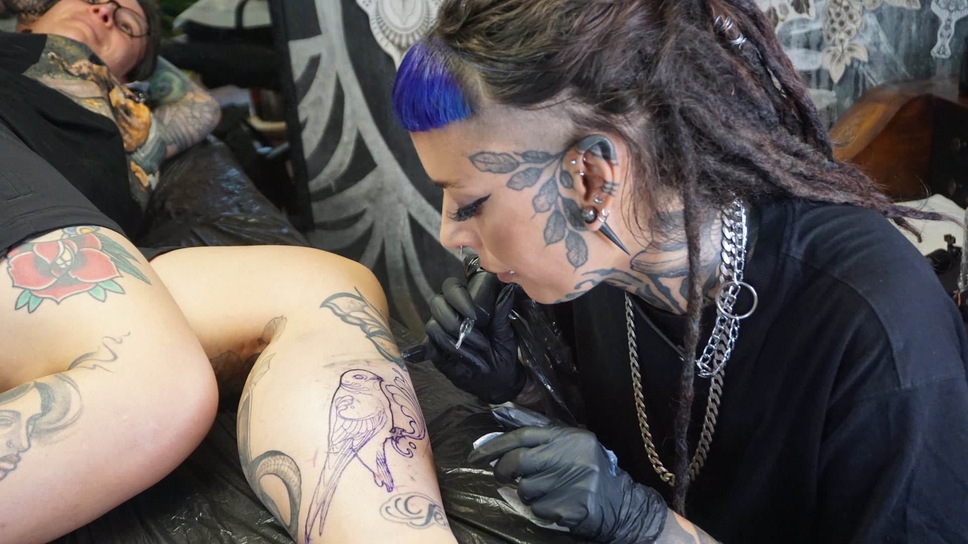 Vogelschutz, der unter die Haut geht - Tattoo-Aktion zum Weltzugvogeltag