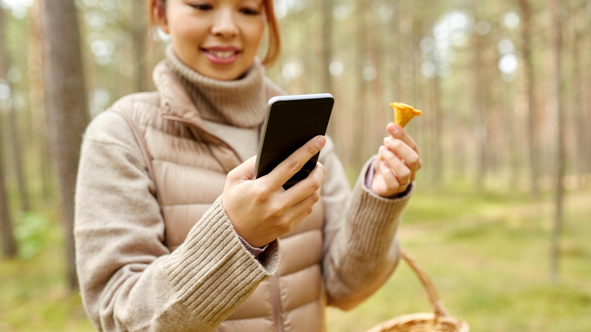 Pilze sammeln – Naturnahes Hobby oder ökologisch fragwürdiger Trend?