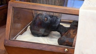 In der Stiftsbibliothek St. Gallen ist eine Mumie aus dem alten Ägypten ausgestellt. Die Bibliothek gehört zum UNESCO-Weltkulturerbe.