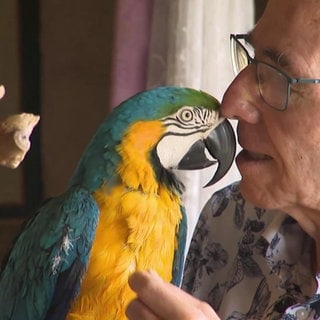 Hubert und sein Gelbbrust-Ara Richie