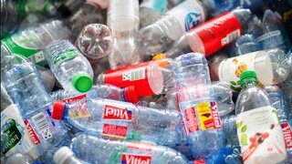 Leere Einwegflaschen aus Plastik liegen in einer Kiste und werden zum recyceln gesammelt.