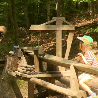 Eine Familie besucht mit zwei Kindern besucht den KugelWaldPfad.